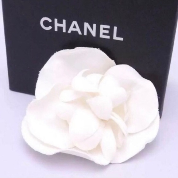 White Camellia - Medium Size - Picture 3 of 6